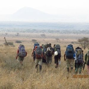 Meet your Posher, Dylan